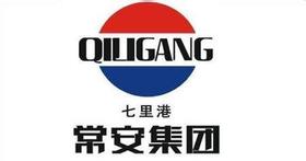 <strong>常安集團(tuán)有限公司</strong>
